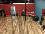 Fixed Dance Poles